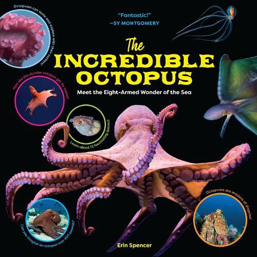 Cover image for The Incredible Octopus