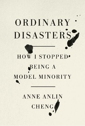 Cover image for Ordinary Disasters