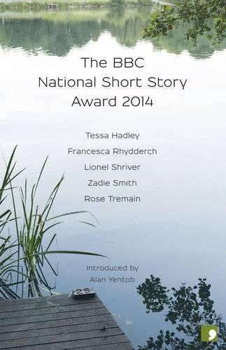 Cover image for The BBC National Short Story Award 2014