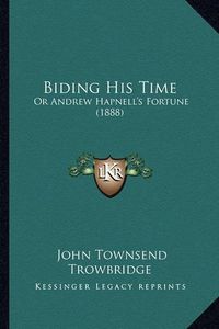 Cover image for Biding His Time: Or Andrew Hapnell's Fortune (1888)