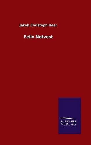 Cover image for Felix Notvest