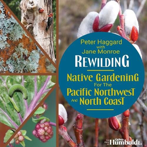 Cover image for Rewilding