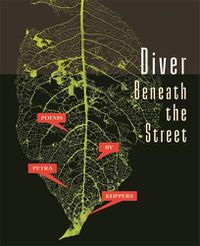 Cover image for Diver Beneath the Street
