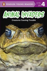 Cover image for Animal Invaders