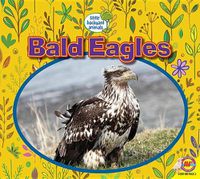 Cover image for Bald Eagles