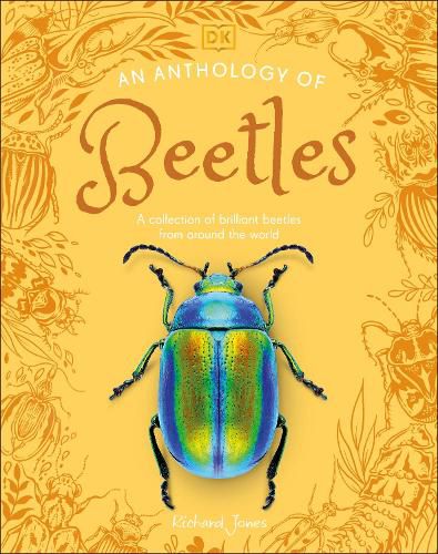 Cover image for An Anthology of Beetles