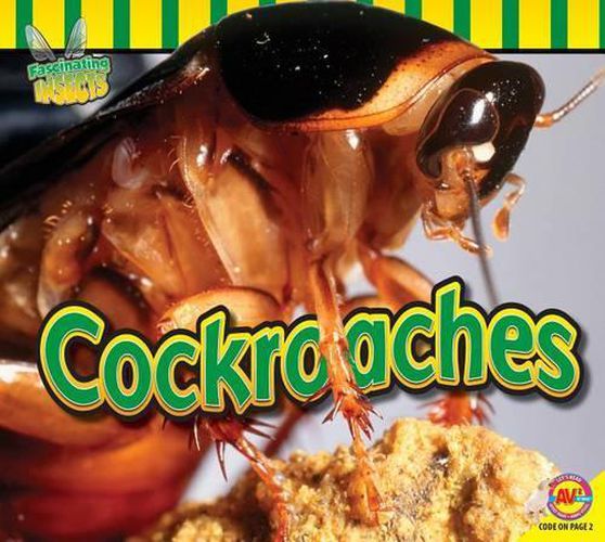 Cover image for Cockroaches