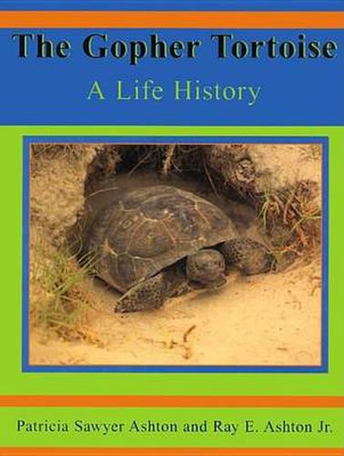 Cover image for The Gopher Tortoise: A Life Story