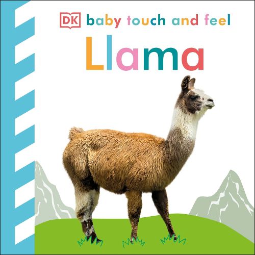 Cover image for Baby Touch and Feel Llama