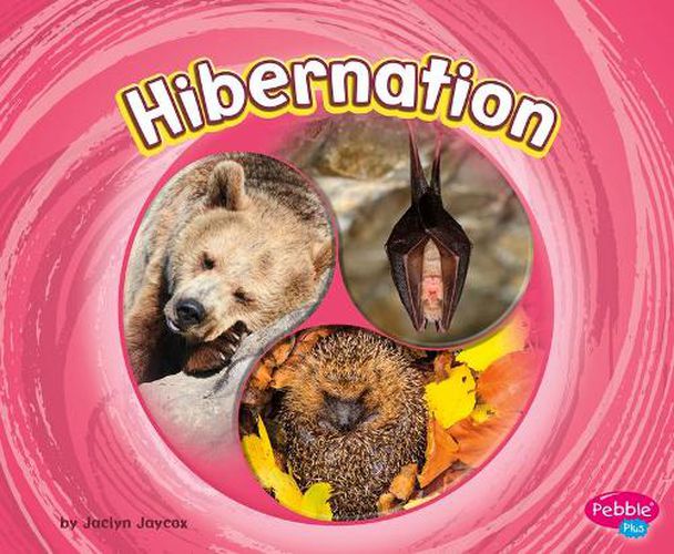 Cover image for Hibernation