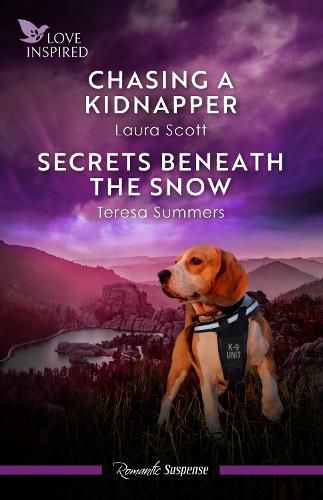 Cover image for Chasing A Kidnapper/Secrets Beneath The Snow