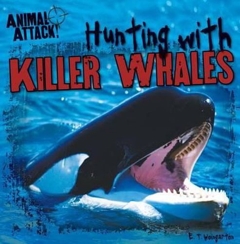 Cover image for Hunting with Killer Whales