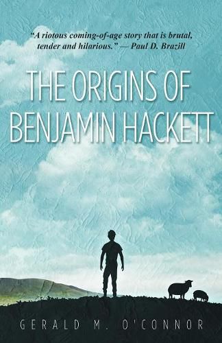 Cover image for The Origins of Benjamin Hackett