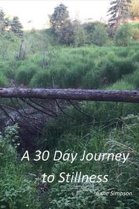 Cover image for A 30 Day Journey to Stillness