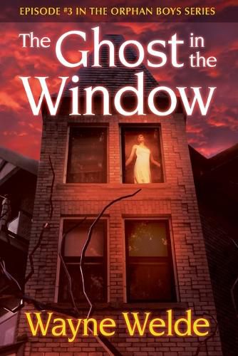 Cover image for The Ghost in the Window