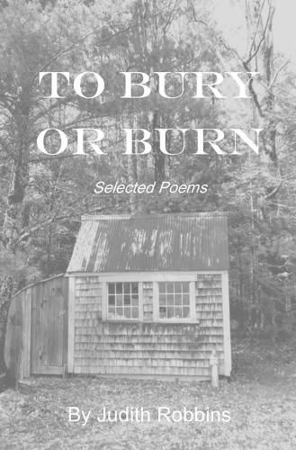 Cover image for To Bury or Burn