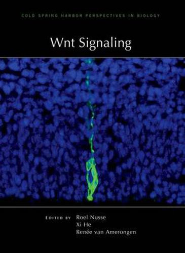 Cover image for Wnt Signaling