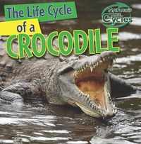 Cover image for The Life Cycle of a Crocodile