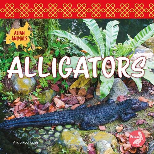 Alligators