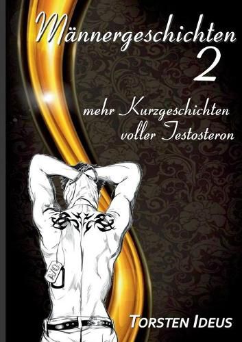 Cover image for Mannergeschichten 2: mehr Kurzgeschichten voller Testosteron
