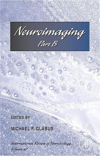 Cover image for Neuroimaging Part B