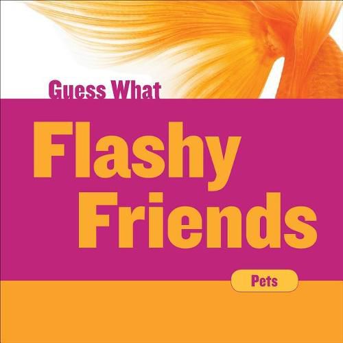 Cover image for Flashy Friends: Goldfish