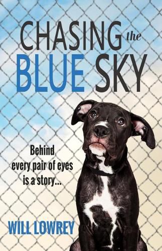 Cover image for Chasing the Blue Sky