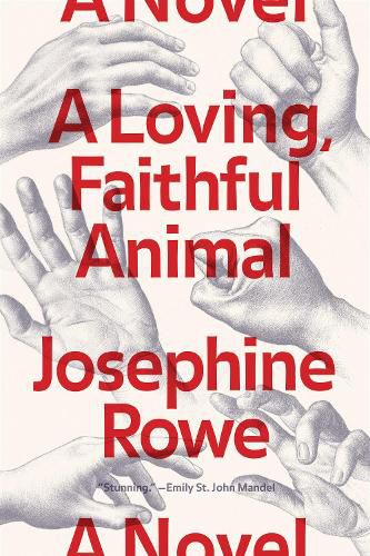 Cover image for A Loving, Faithful Animal: A Novel