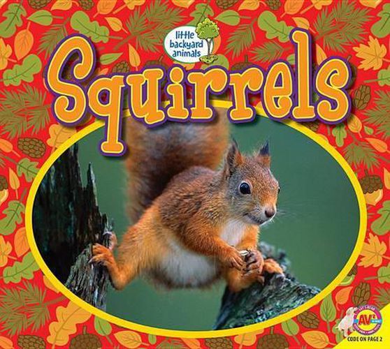 Squirrels