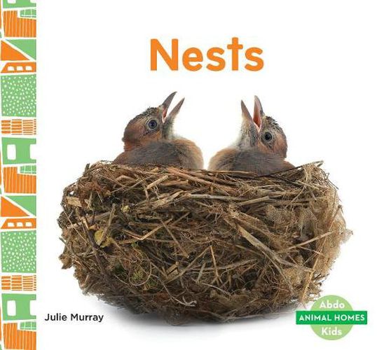 Cover image for Nests