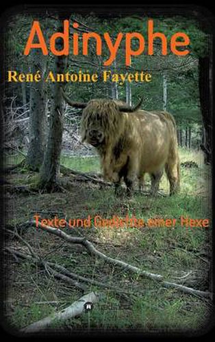 Cover image for Adinyphe