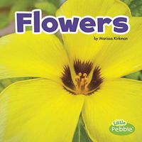 Cover image for Flowers (Plant Parts)