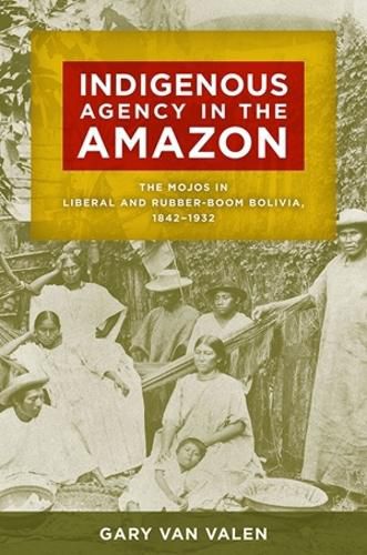 Cover image for Indigenous Agency in the Amazon
