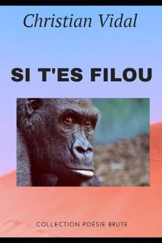 Cover image for Si t'es filou