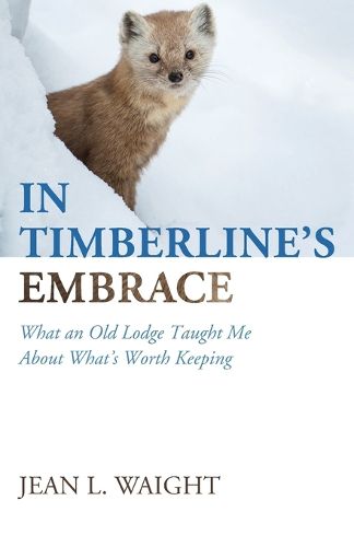 Cover image for In Timberline's Embrace