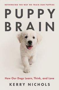 Cover image for Puppy Brain