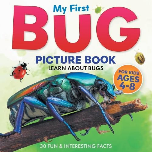 Cover image for My First Bug Picture Book