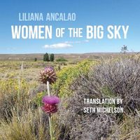 Cover image for Women of the Big Sky