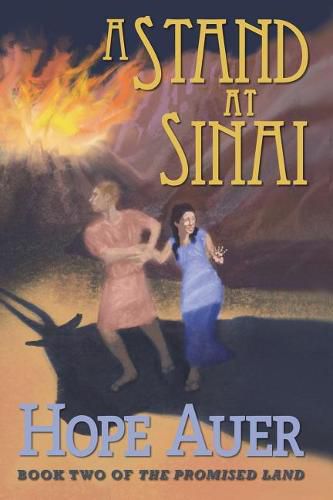 Cover image for A Stand at Sinai