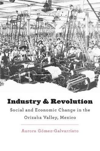 Cover image for Industry and Revolution: Social and Economic Change in the Orizaba Valley, Mexico