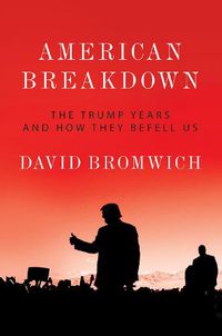Cover image for American Breakdown: The Trump Years and How They Befell Us