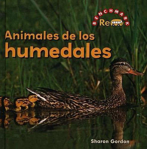 Animales de Los Humedales (Wetland Animals)