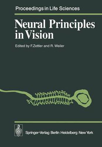 Cover image for Neural Principles in Vision