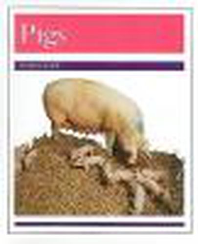 Cover image for Animals - Pigs: Individual Student Edition Purple (Levels 19-20)