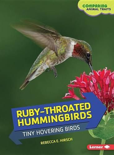 Ruby-Throated Hummingbirds: Tiny Hovering Birds