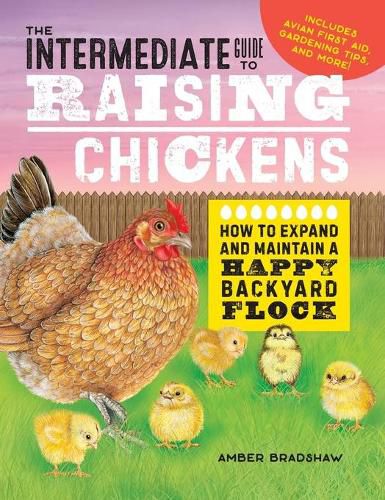 Cover image for The Intermediate Guide to Raising Chickens: How to Expand and Maintain a Happy Backyard Flock