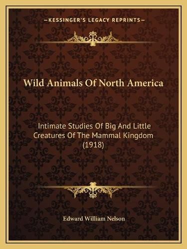 Cover image for Wild Animals of North America: Intimate Studies of Big and Little Creatures of the Mammal Kingdom (1918)