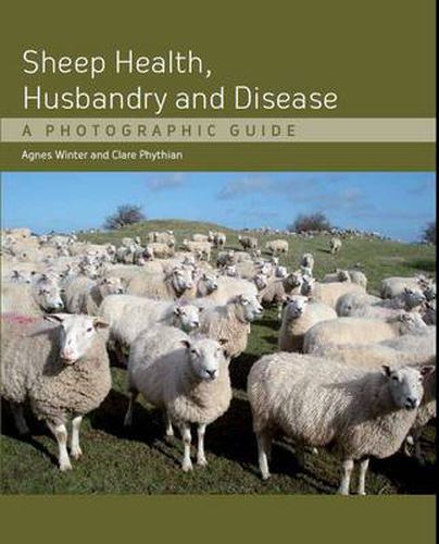 Cover image for Sheep Health, Husbandry and Disease: A Photographic Guide