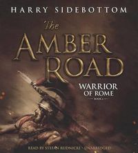 Cover image for The Amber Road