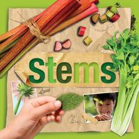 Cover image for Stems